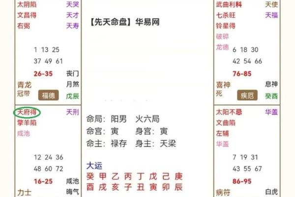 紫薇斗数书籍详解