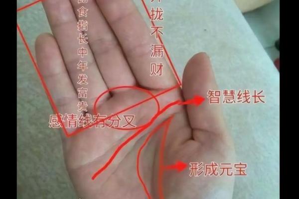 《手相学习百科》：指尖与指节