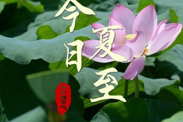 夏至的寓意和象征 夏至的民间民俗