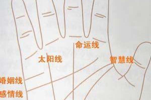 《手相学习百科》：指纹
