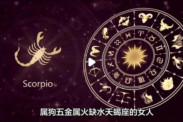 什么星座女生适合做生意的