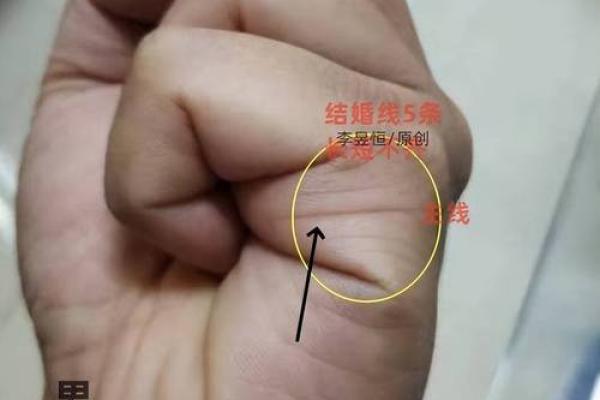 《手相学习百科》：手纹的成长与改变
