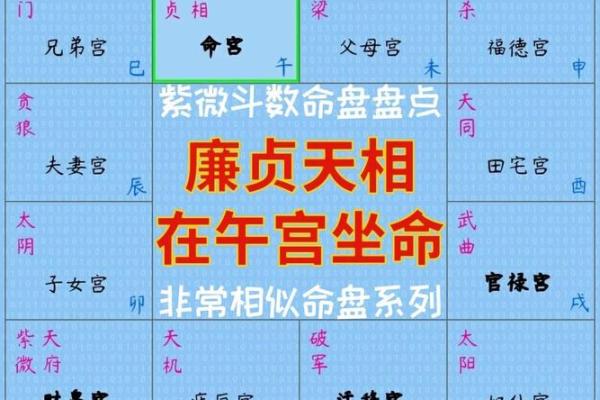 紫薇斗数午宫