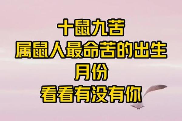 属鼠出生最好六个吉日 属鼠的出生吉日