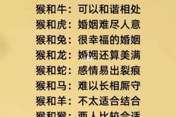 婚姻配对属龙和属马姻缘怎么样