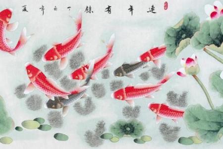 风水鱼的摆放，风水鱼摆放鱼头朝里还是朝外好