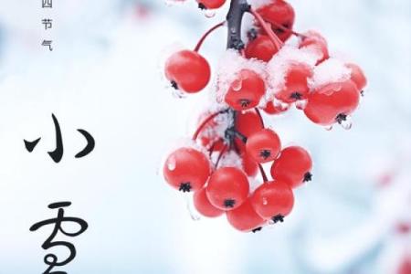 小雪民俗活动 小雪的名字有什么意义