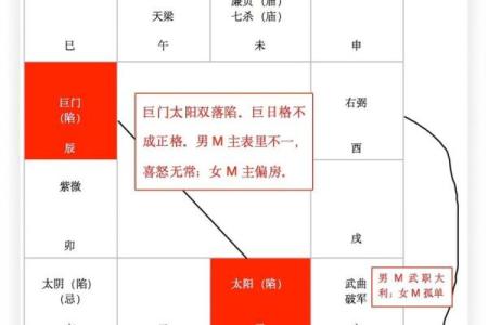 紫微斗数诸星落诸宫之：廉贞星官禄宫详解