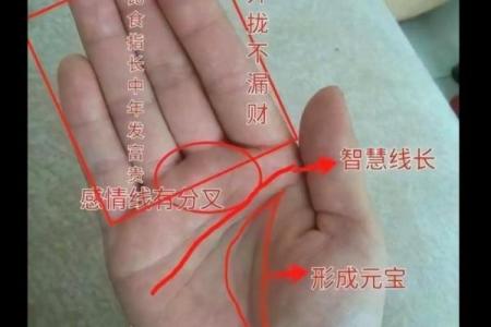 《手相学习百科》：指尖与指节