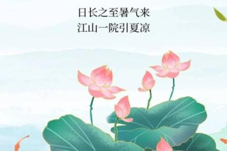 夏至的寓意和象征 夏至的民间民俗