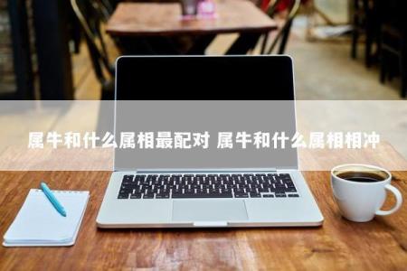 属牛和什么属相最配对 属牛和什么属相相冲