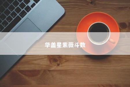 华盖星紫薇斗数