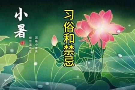小暑，暑期的民俗禁忌你知道吗