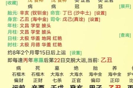 【八字癸巳】你知道在八字中代表什么吗？