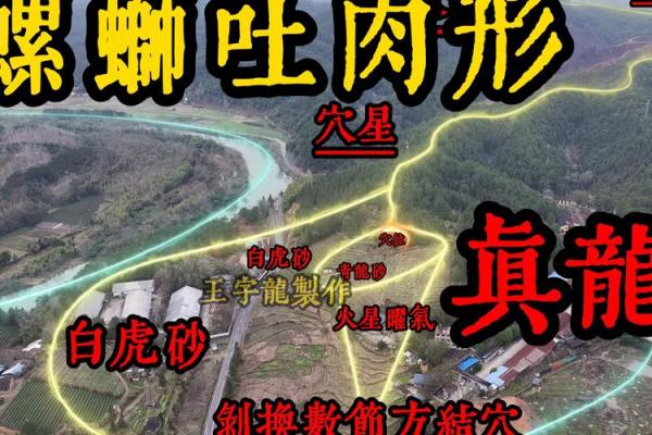如何寻找阴宅的风水宝地
