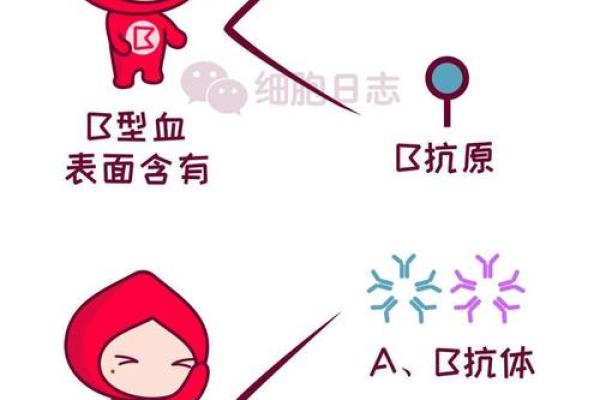 四大血型你该学习的地方