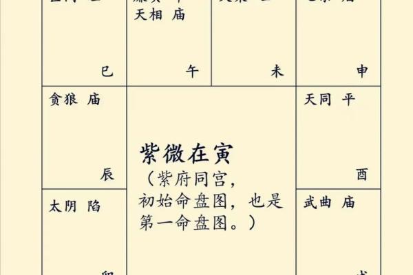紫薇斗数桃花宫