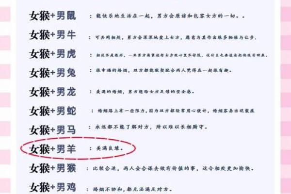 属鼠人姻缘配对 属鼠的人姻缘怎么样？