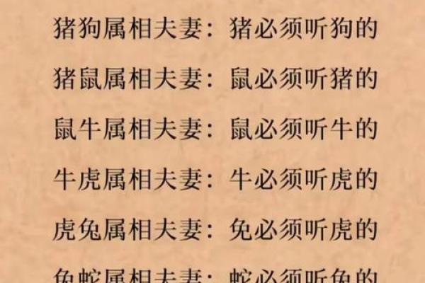 属鼠人姻缘配对 属鼠的人姻缘怎么样？