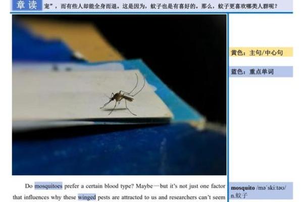 蚊子不喜欢什么血型 蚊子厌恶哪种血型