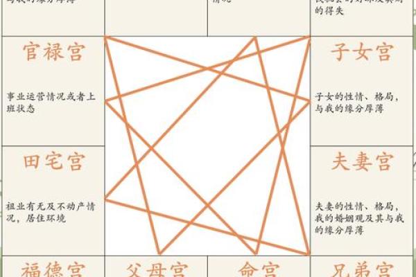 紫微斗数案例42健康：能活到90多岁的命盘
