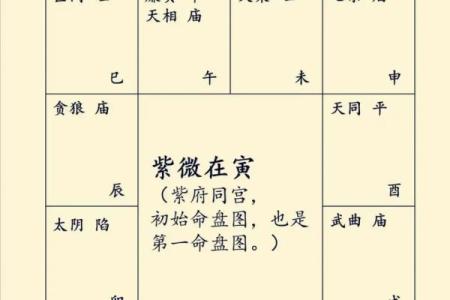 紫薇斗数桃花宫