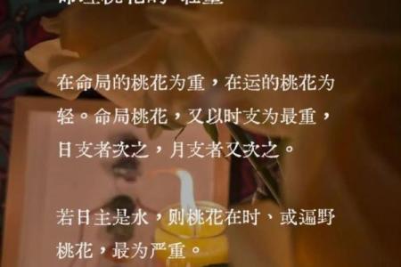 算命桃花什么意思