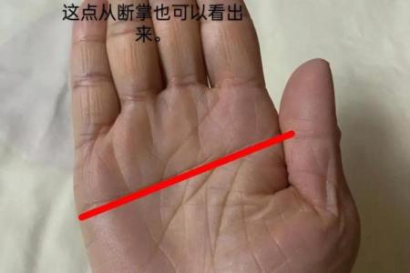 手相图解大全女右手算命 看手相算命图解女性右手