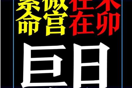 紫微斗数同盘不同运 紫微斗数基本盘相同的人？