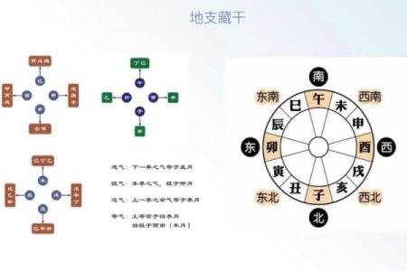 八字藏干是什么意思 八字藏干有何含义