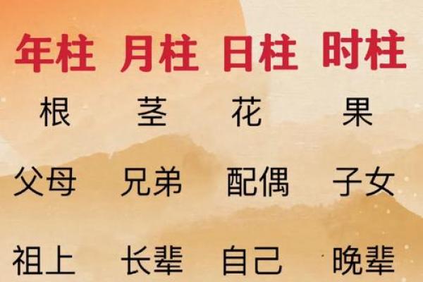 八字命理教学视频免费