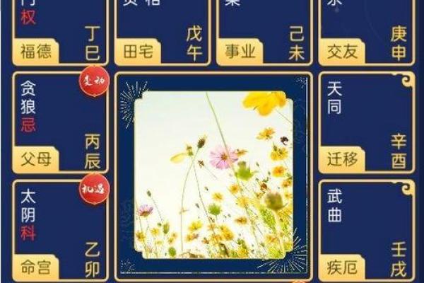 紫微斗数官禄宫天姚