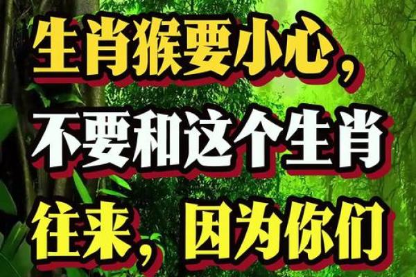 猴和什么属相最配相冲相克呢 猴和什么属相最配对男