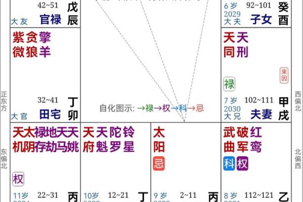 紫薇斗数生年干支