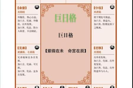 紫薇斗数科在命宫