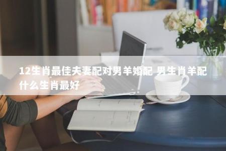 12生肖最佳夫妻配对男羊婚配 男生肖羊配什么生肖最好