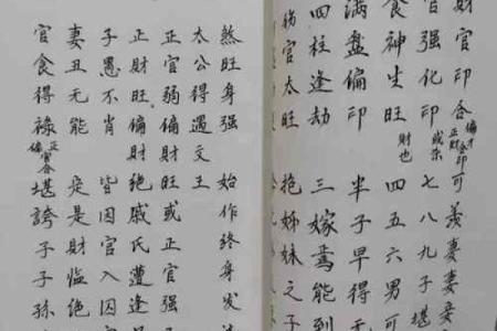 苏民峰八字