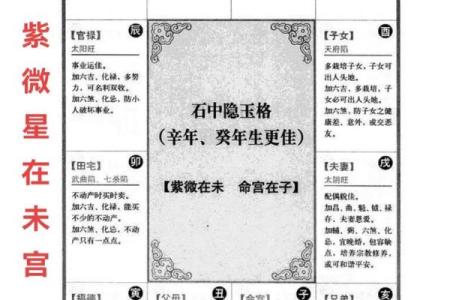 紫薇斗数生年干支