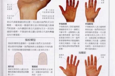 凯帝阿手相算命图解大全05