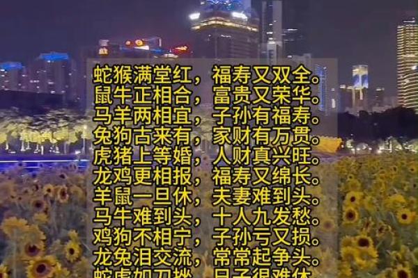婚姻属相配对