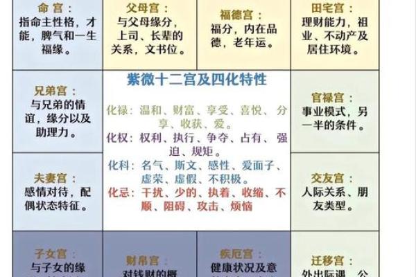紫微斗数诸星落诸宫之：其它星（以下星曜为本宫主星时的情况，有