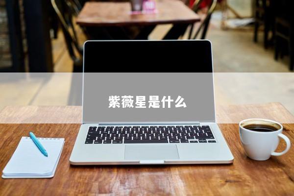 紫薇星是什么