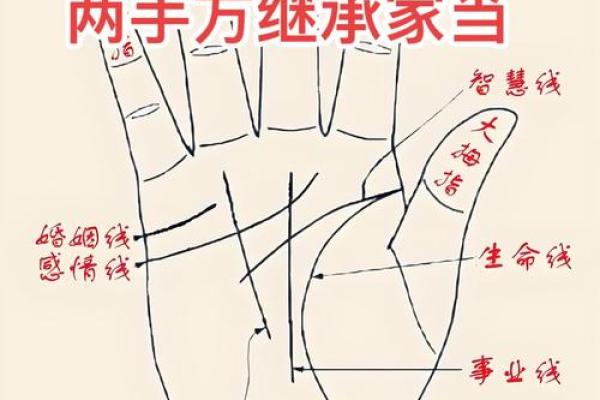 看相算命图解