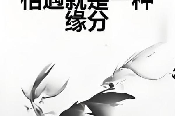 缘分是天注定姓名配对 缘份真的是天注定的-？