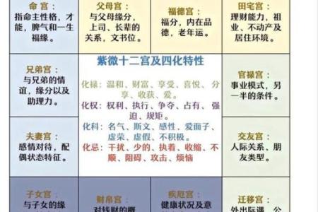 紫微斗数诸星落诸宫之：其它星（以下星曜为本宫主星时的情况，有