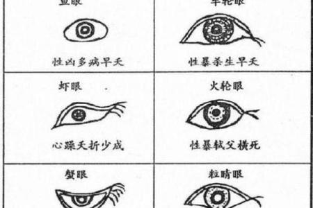 看相算命图解