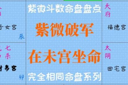 紫薇斗数四墓宫