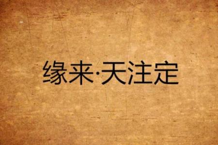 缘分是天注定姓名配对 缘份真的是天注定的-？