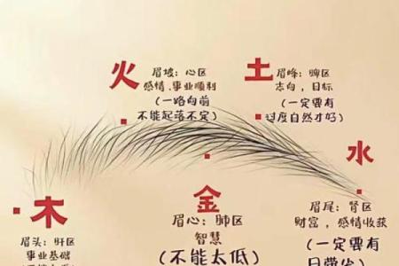 面相：眉形与命运，眉有断痕为什么不好？眉顺为好相，眉毛散乱多忧愁，八字眉个性随和