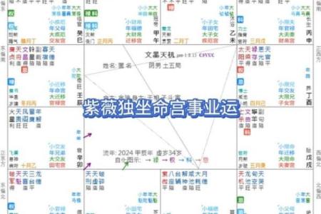 紫薇星属于什么星座